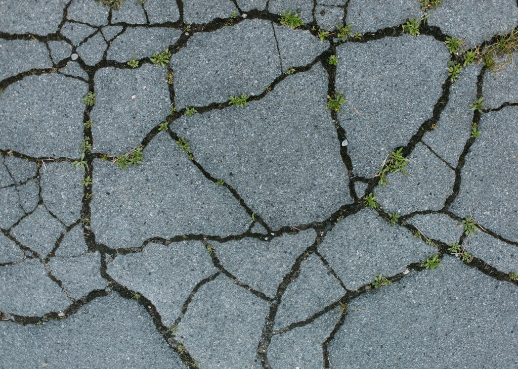 Cracked pavement on a driveway
