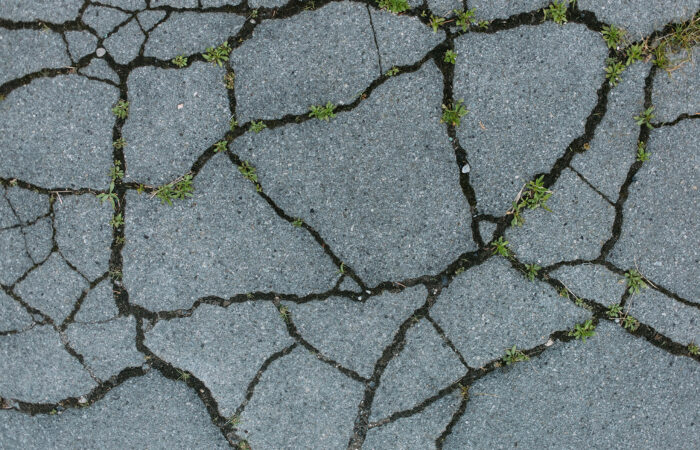 Cracked pavement on a driveway
