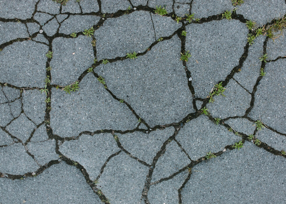 Cracked pavement on a driveway